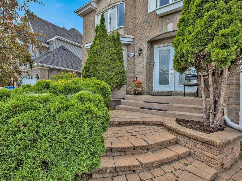 









1003


Rue Basile-Routhier

,
Repentigny (Repentigny),




QC
J5Y3Y9

