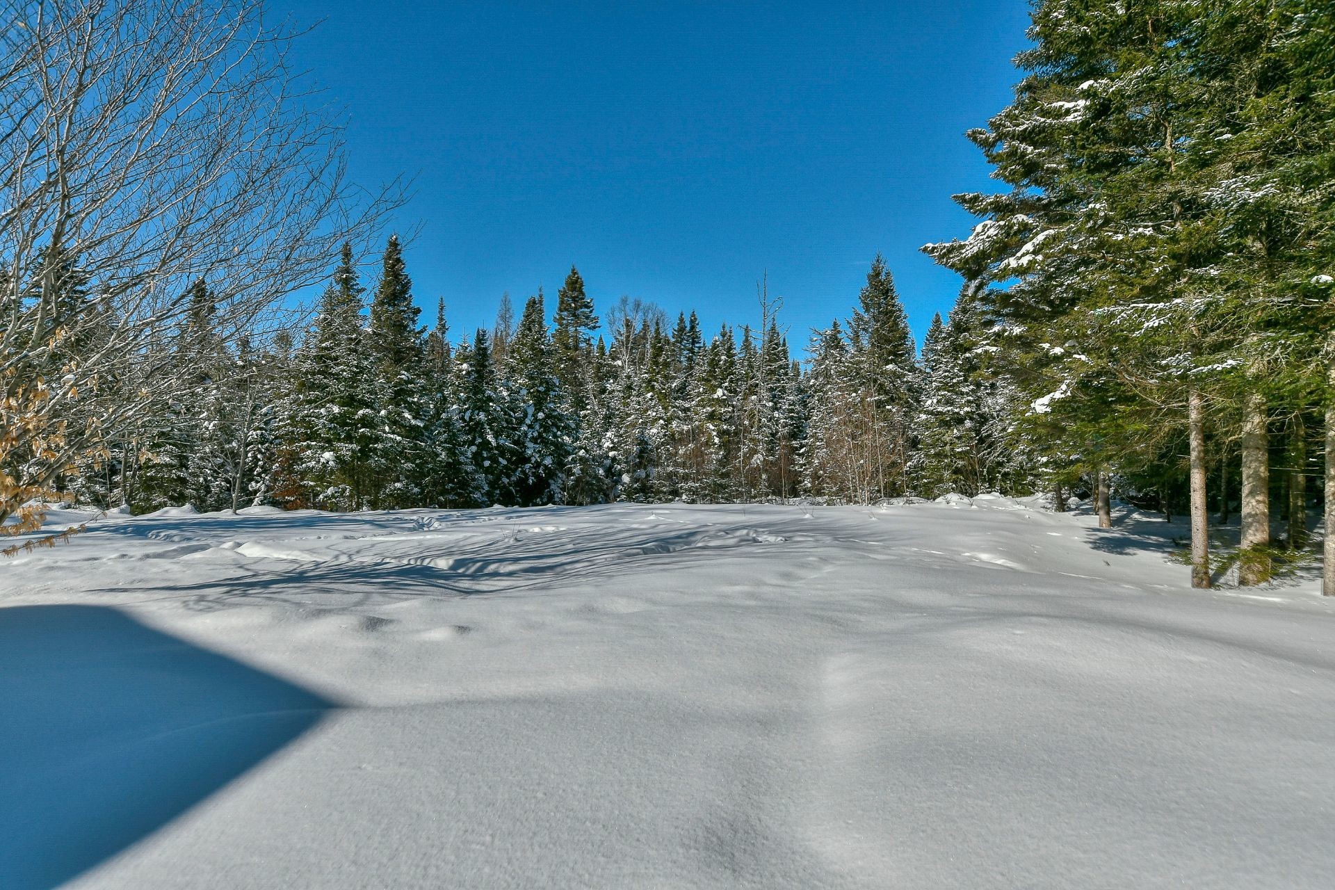 









2014


Ch. du Lac-Quenouille

,
Val-des-Lacs,




QC
J0T2P0

