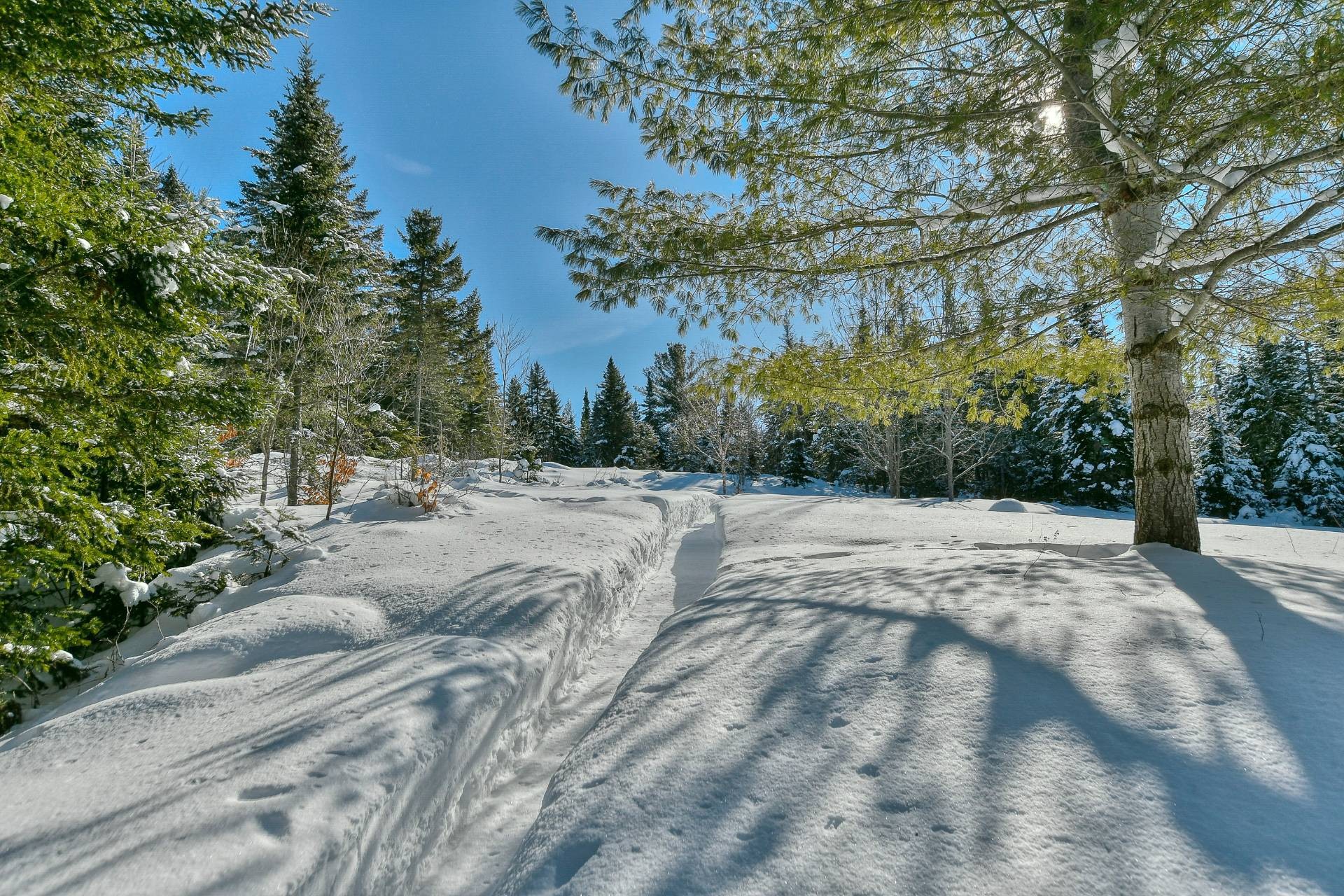 









2014


Ch. du Lac-Quenouille

,
Val-des-Lacs,




QC
J0T2P0

