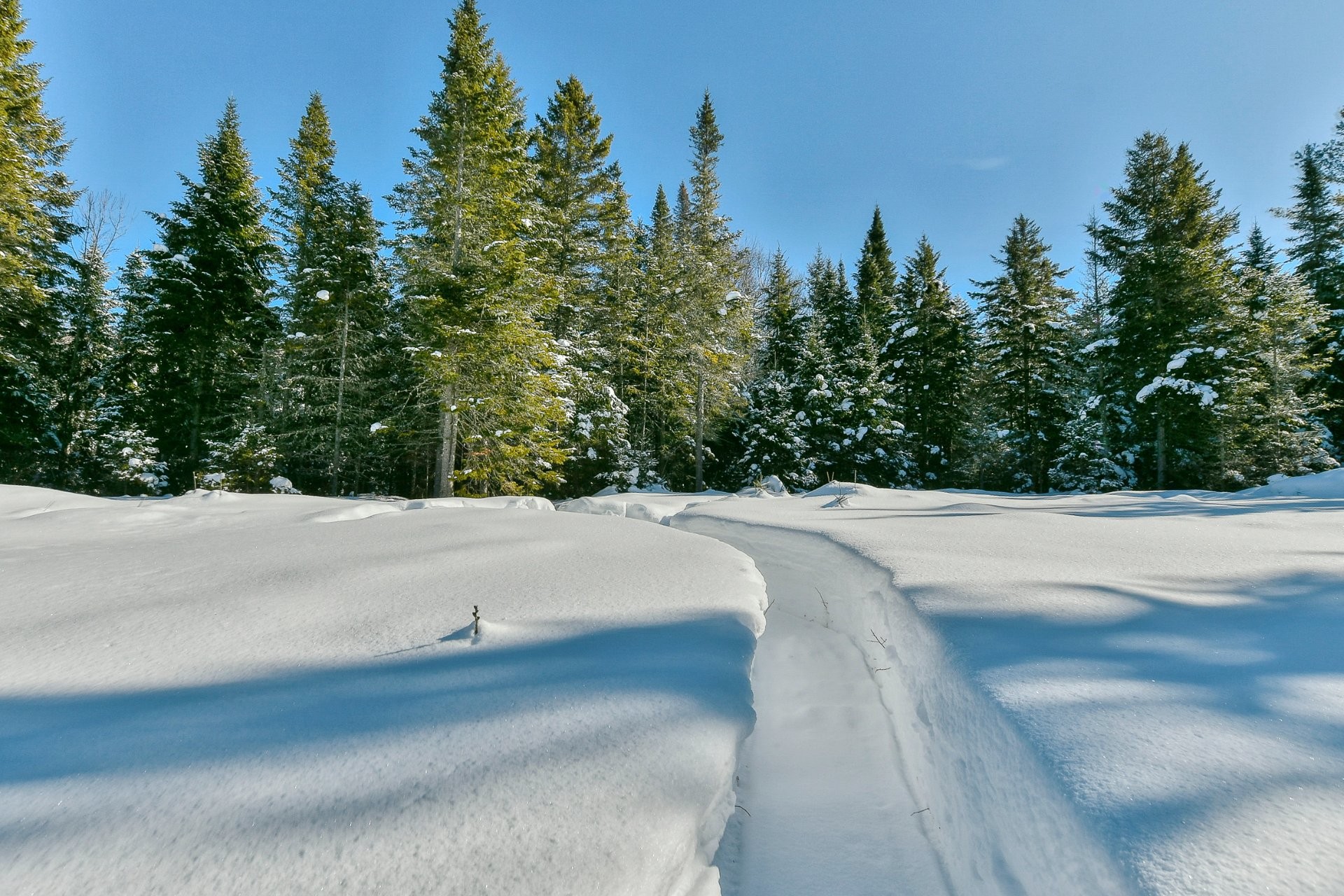 









2014


Ch. du Lac-Quenouille

,
Val-des-Lacs,




QC
J0T2P0

