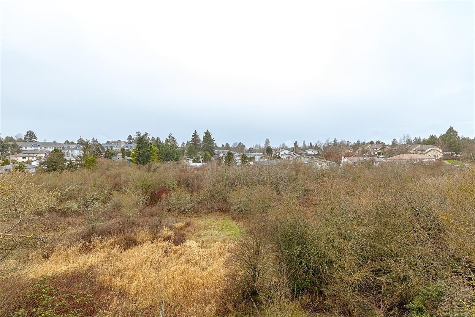 









651


Jolly

Pl, 206,
Saanich,




BC
V8N 1J4

