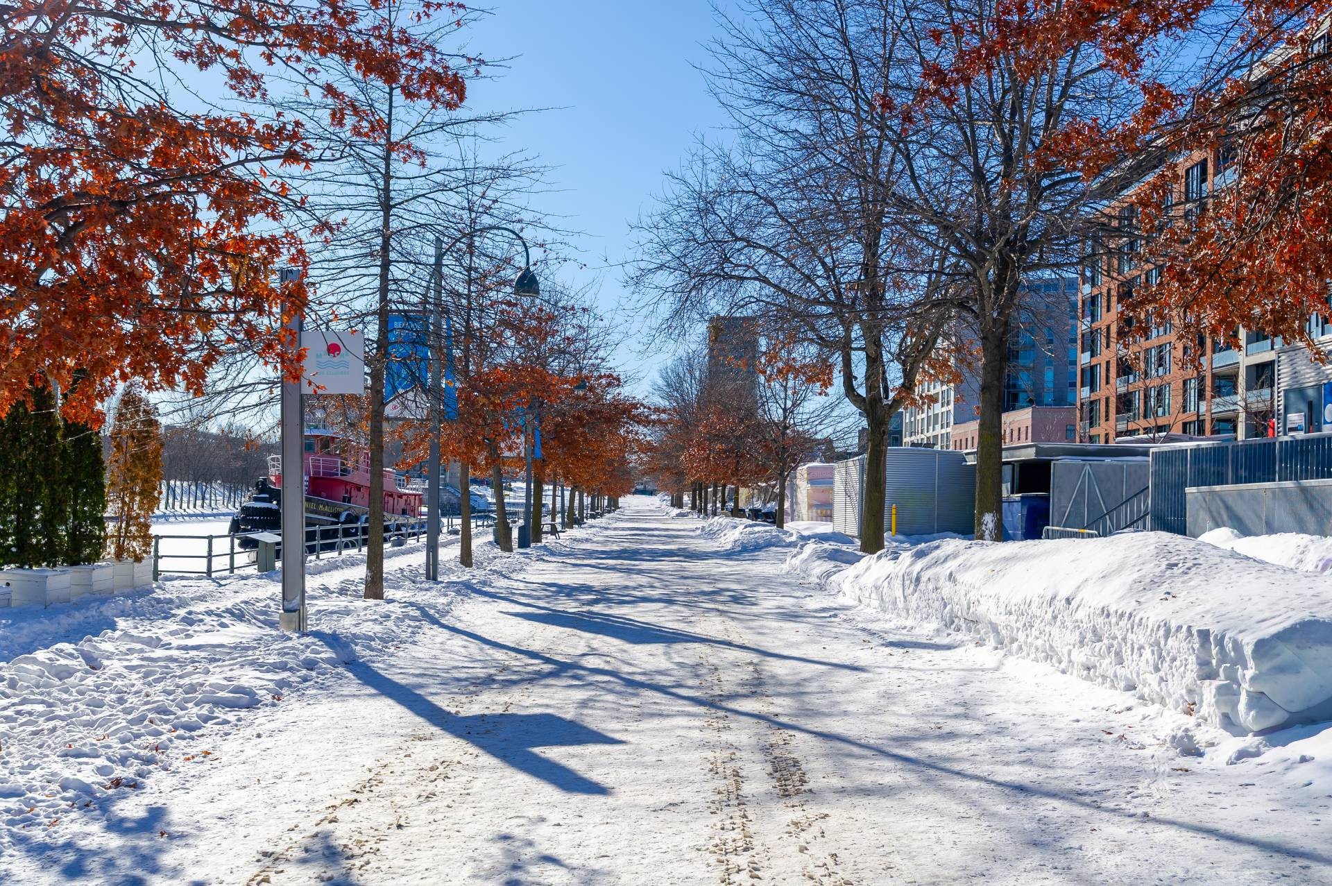 









38


Rue McGill

, 74,
Montréal (Ville-Marie),




QC
H2Y4B5

