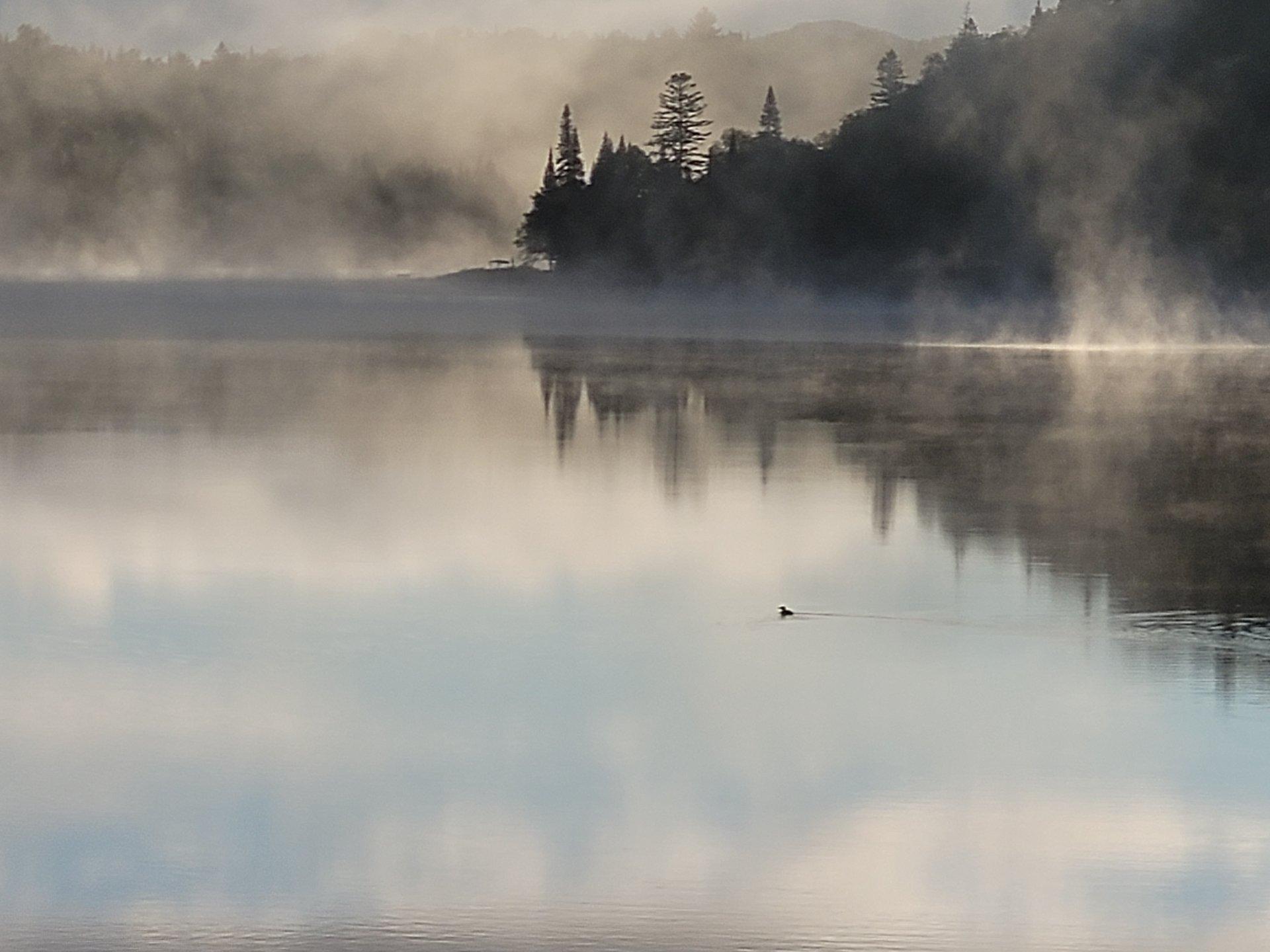









254


Ch. du Lac-du-Gros-Brochet

,
L'Ascension,




QC
J0T1W0

