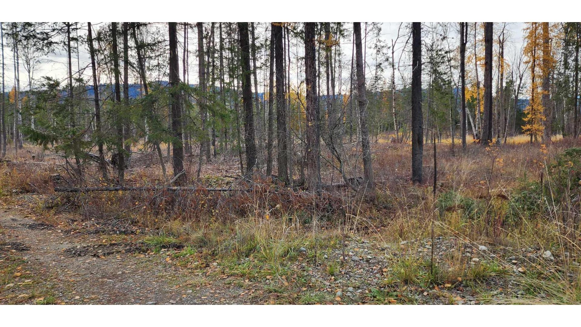









38


Campbell

Road,
Cherryville,







BC
V0E 2G3

