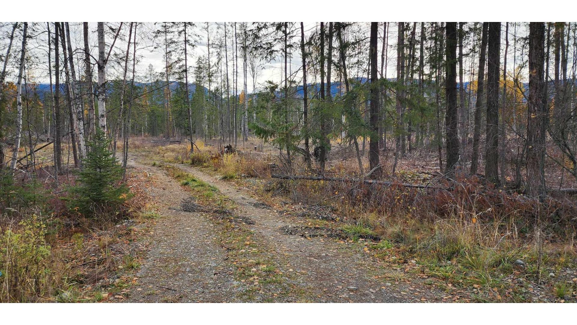 









38


Campbell

Road,
Cherryville,







BC
V0E 2G3

