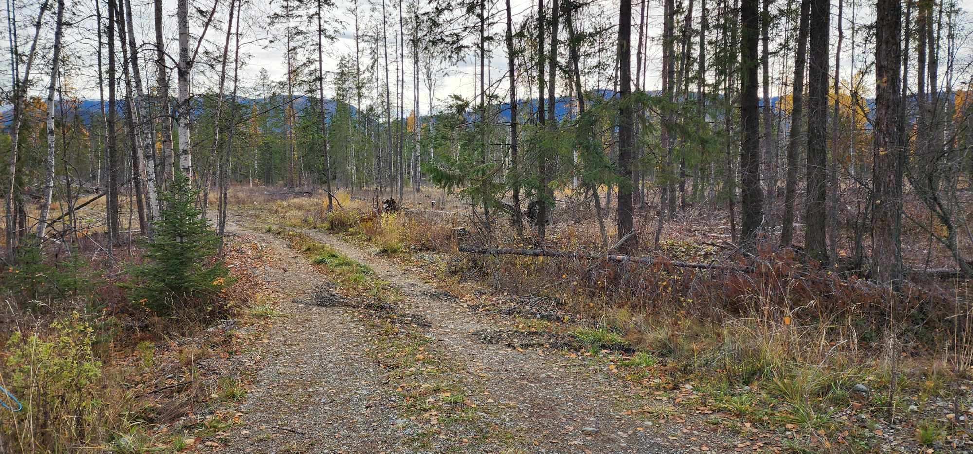 









30


Campbell

Road,
Cherryville,







BC
V0e 2G3

