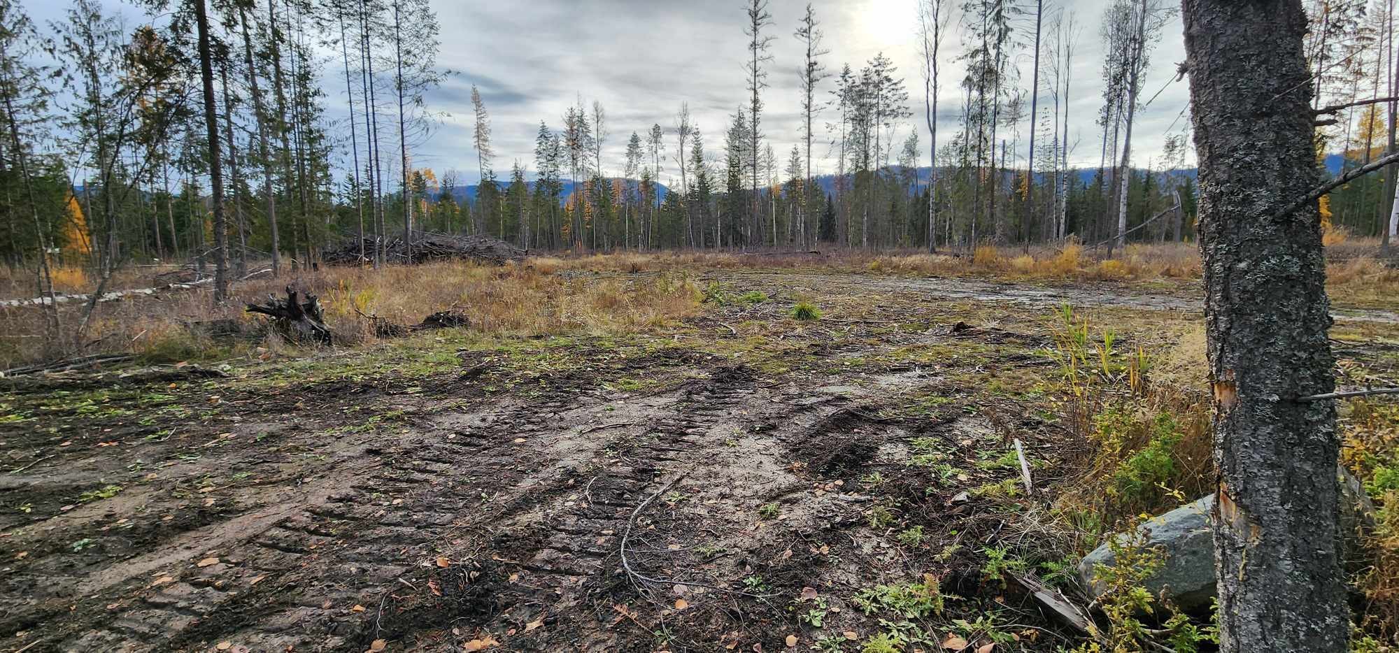 









30


Campbell

Road,
Cherryville,







BC
V0e 2G3

