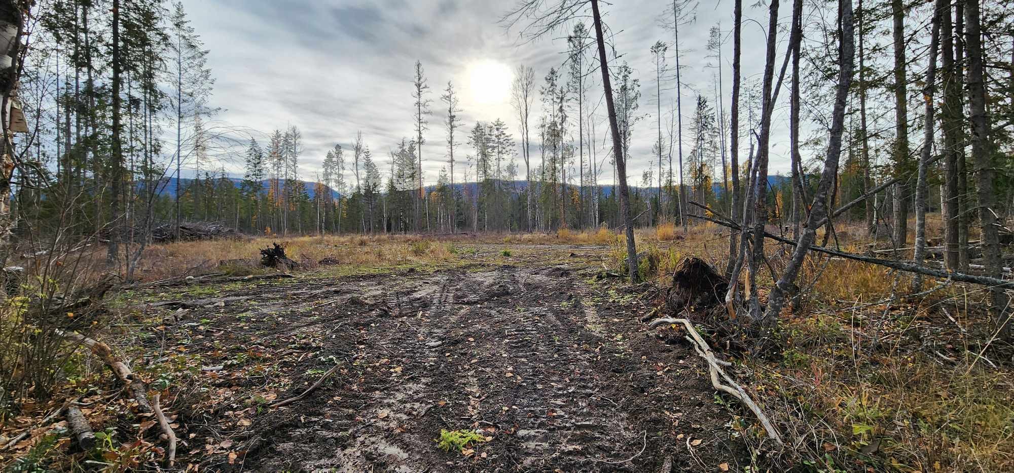 









30


Campbell

Road,
Cherryville,







BC
V0e 2G3

