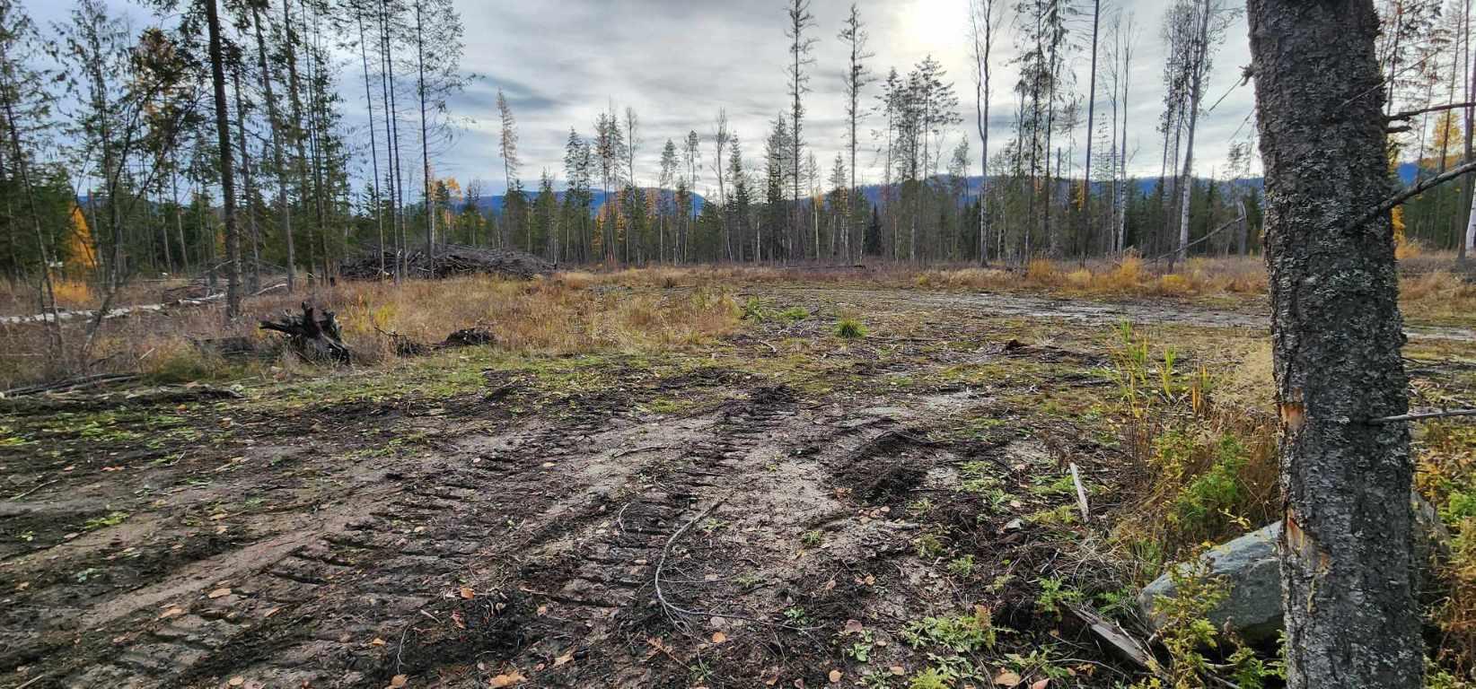 









30


Campbell

Road,
Cherryville,







BC
V0e 2G3

