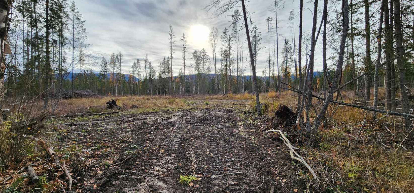 









30


Campbell

Road,
Cherryville,







BC
V0e 2G3

