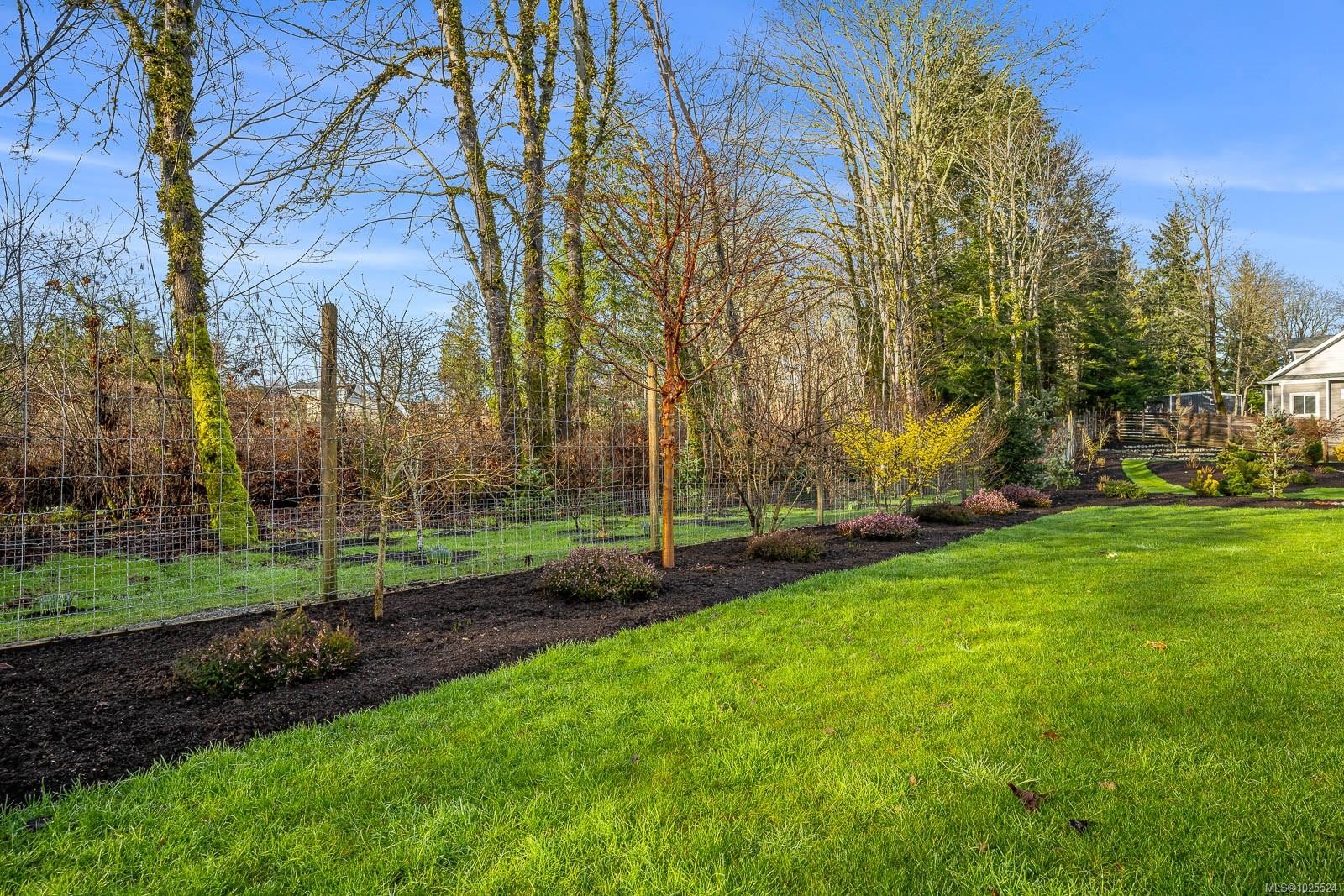 









3767


Maple

Lane,
Royston,




BC
V0R 2V0

