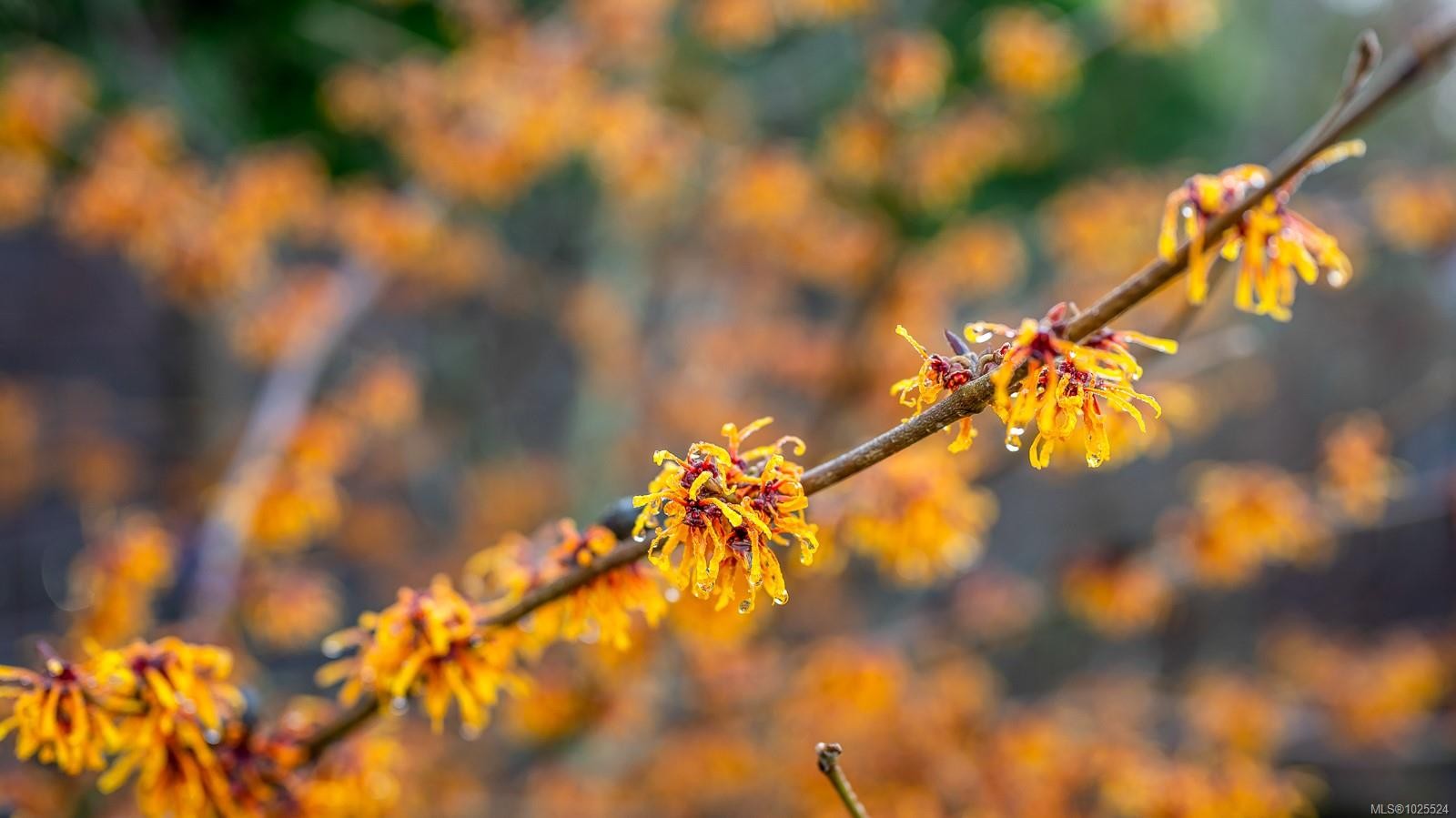 









3767


Maple

Lane,
Royston,




BC
V0R 2V0

