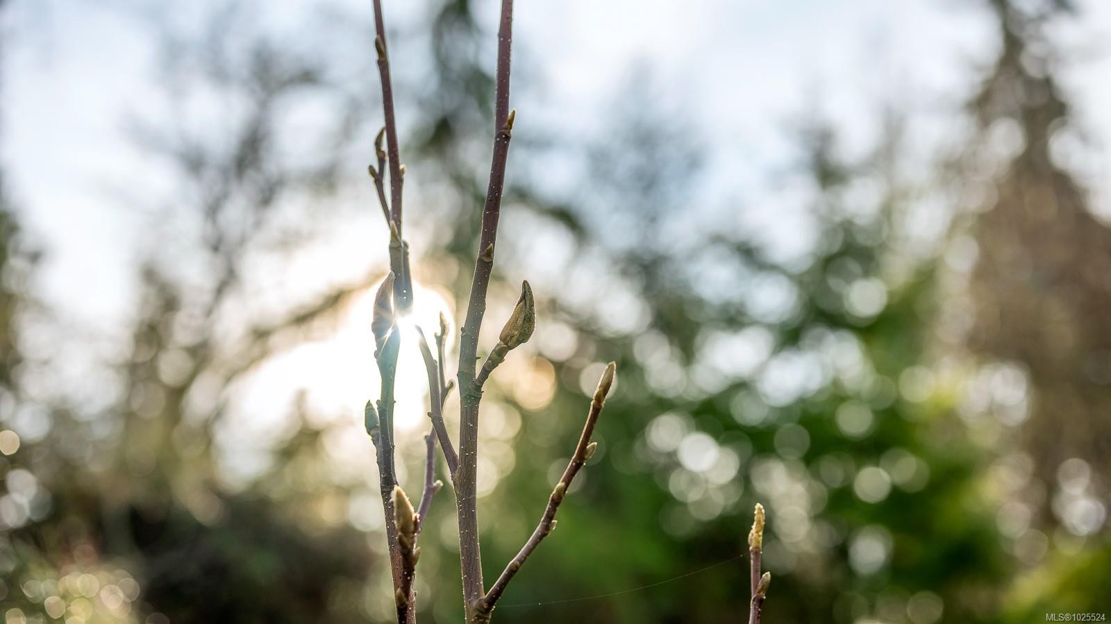 









3767


Maple

Lane,
Royston,




BC
V0R 2V0

