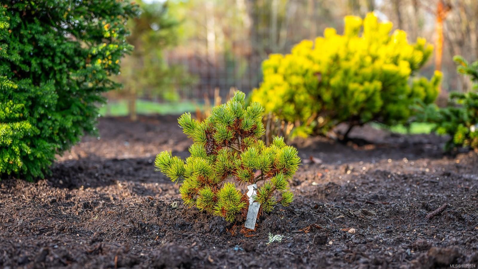 









3767


Maple

Lane,
Royston,




BC
V0R 2V0

