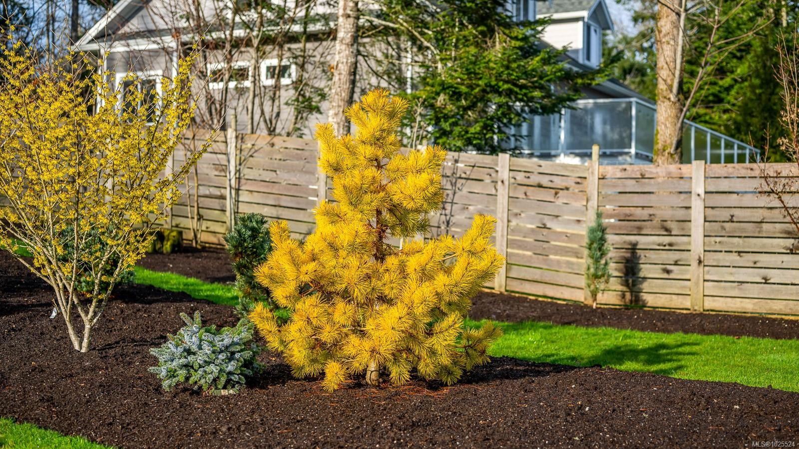 









3767


Maple

Lane,
Royston,




BC
V0R 2V0

