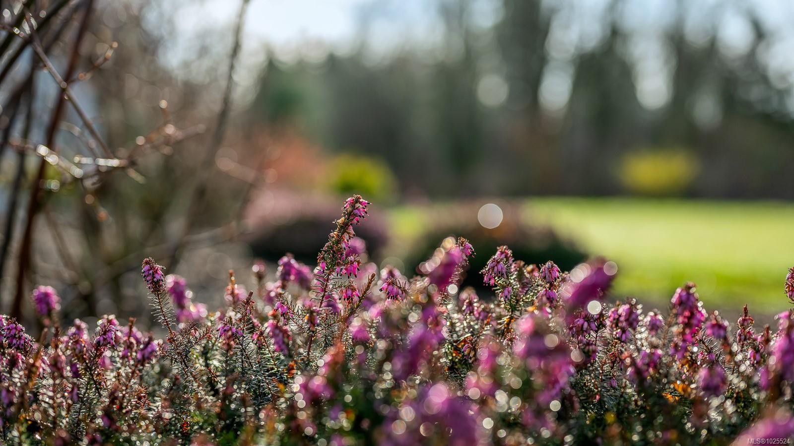 









3767


Maple

Lane,
Royston,




BC
V0R 2V0

