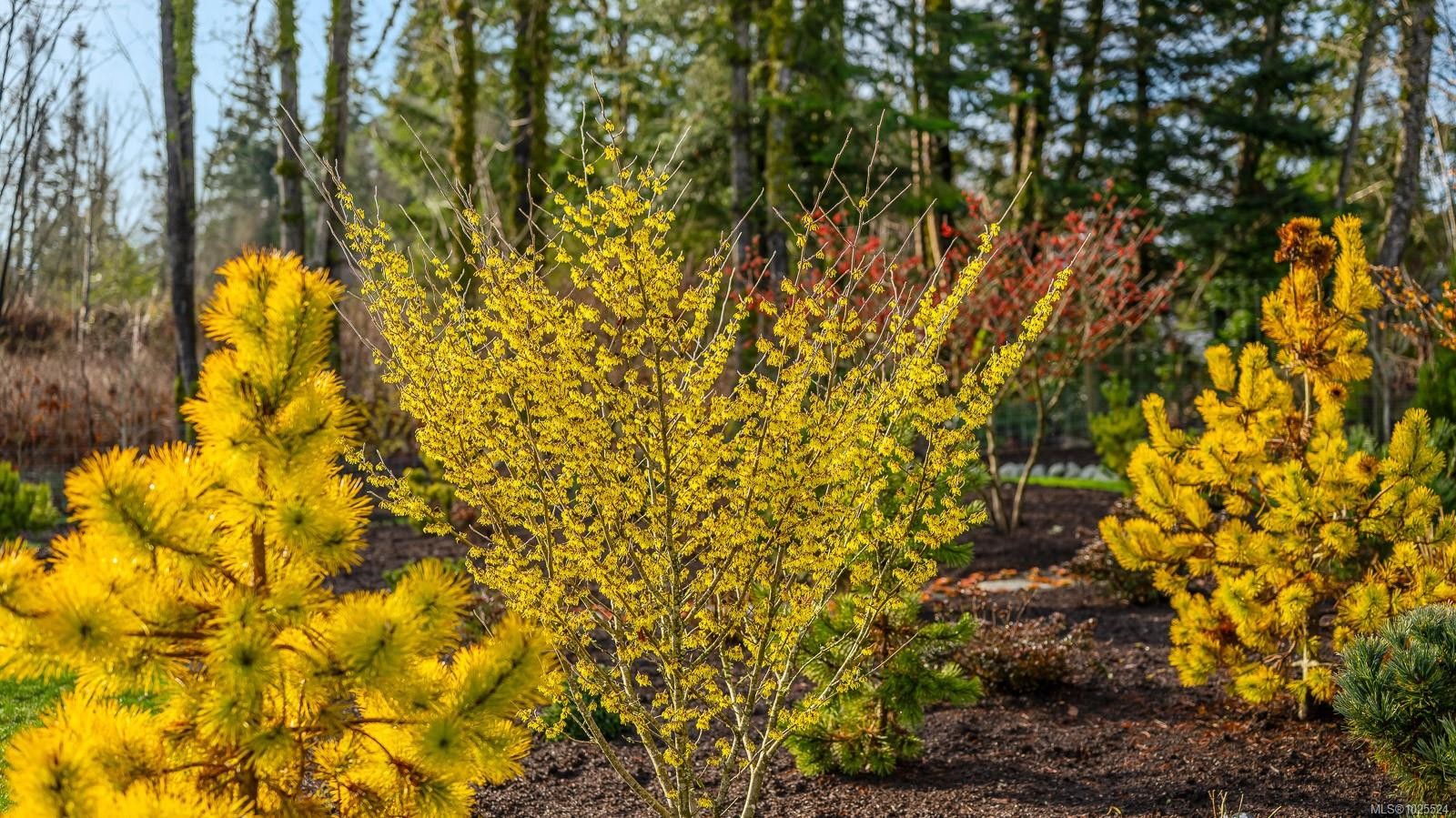 









3767


Maple

Lane,
Royston,




BC
V0R 2V0

