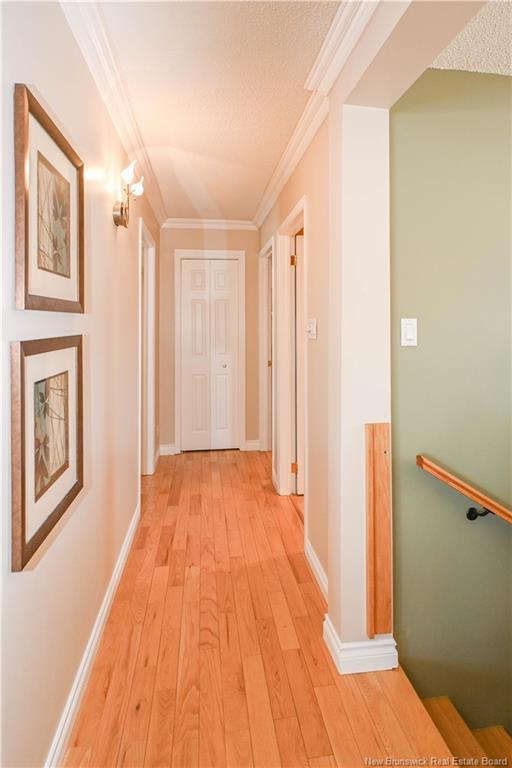 









262


Savard

ST,
Caraquet,




NB
E1W 1A4

