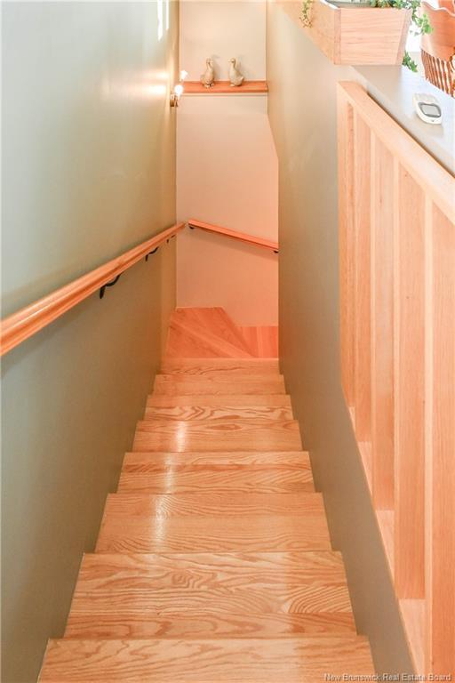 









262


Savard

ST,
Caraquet,




NB
E1W 1A4

