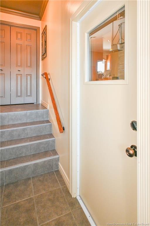 









262


Savard

ST,
Caraquet,




NB
E1W 1A4

