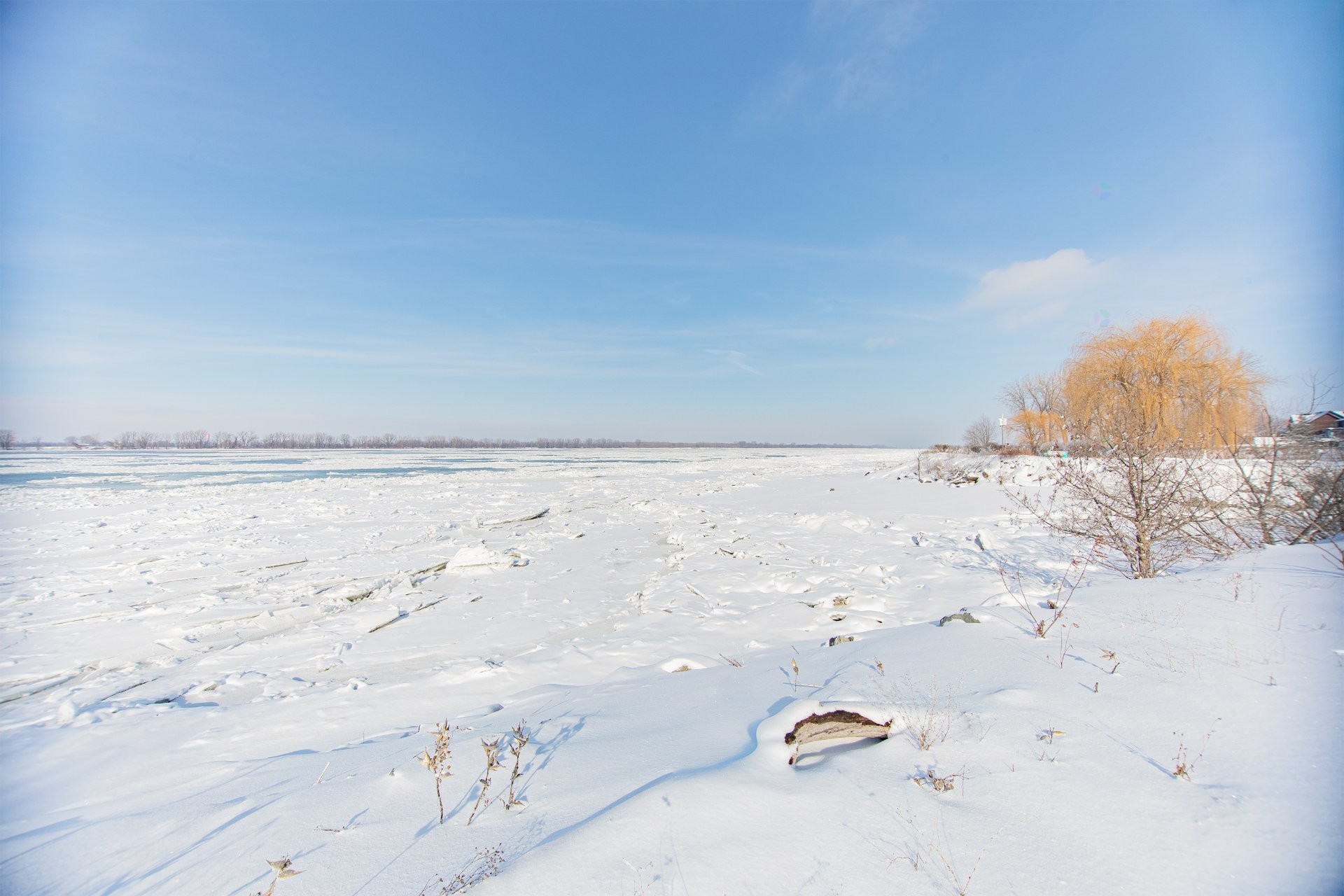 









1059


Route Marie-Victorin

,
Verchères,




QC
J0L2R0

