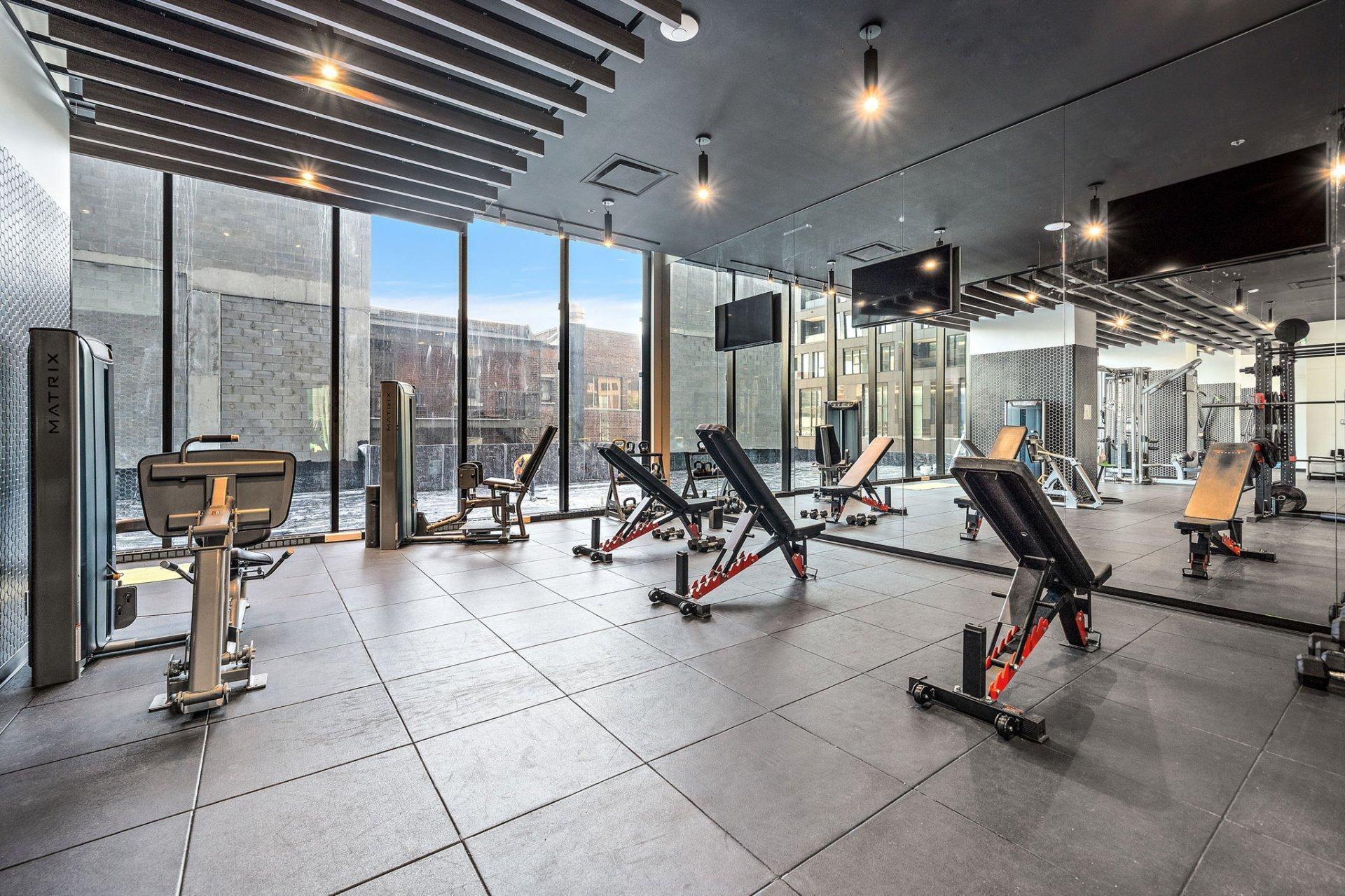 









1210


Rue Jeanne-Mance

, 5712,
Montréal (Ville-Marie),




QC
H2X1M1

