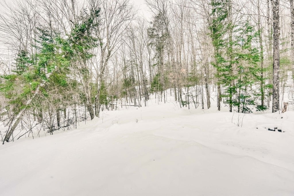 









72


Rue de Bouchette

,
Cantley,




QC
J8V3L8

