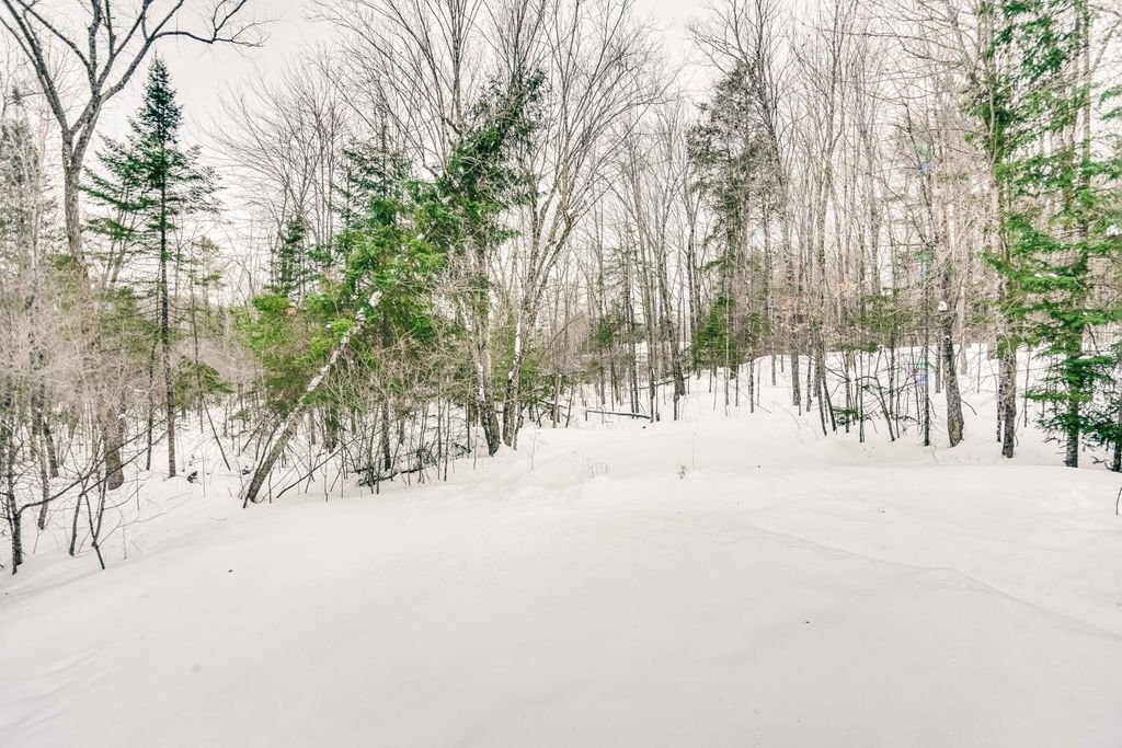 









72


Rue de Bouchette

,
Cantley,




QC
J8V3L8

