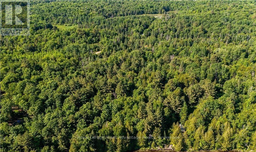 












990 SHAWANAGA LAKE ROAD

,
Whitestone (Hagerman),







Ontario
P0A1G0

