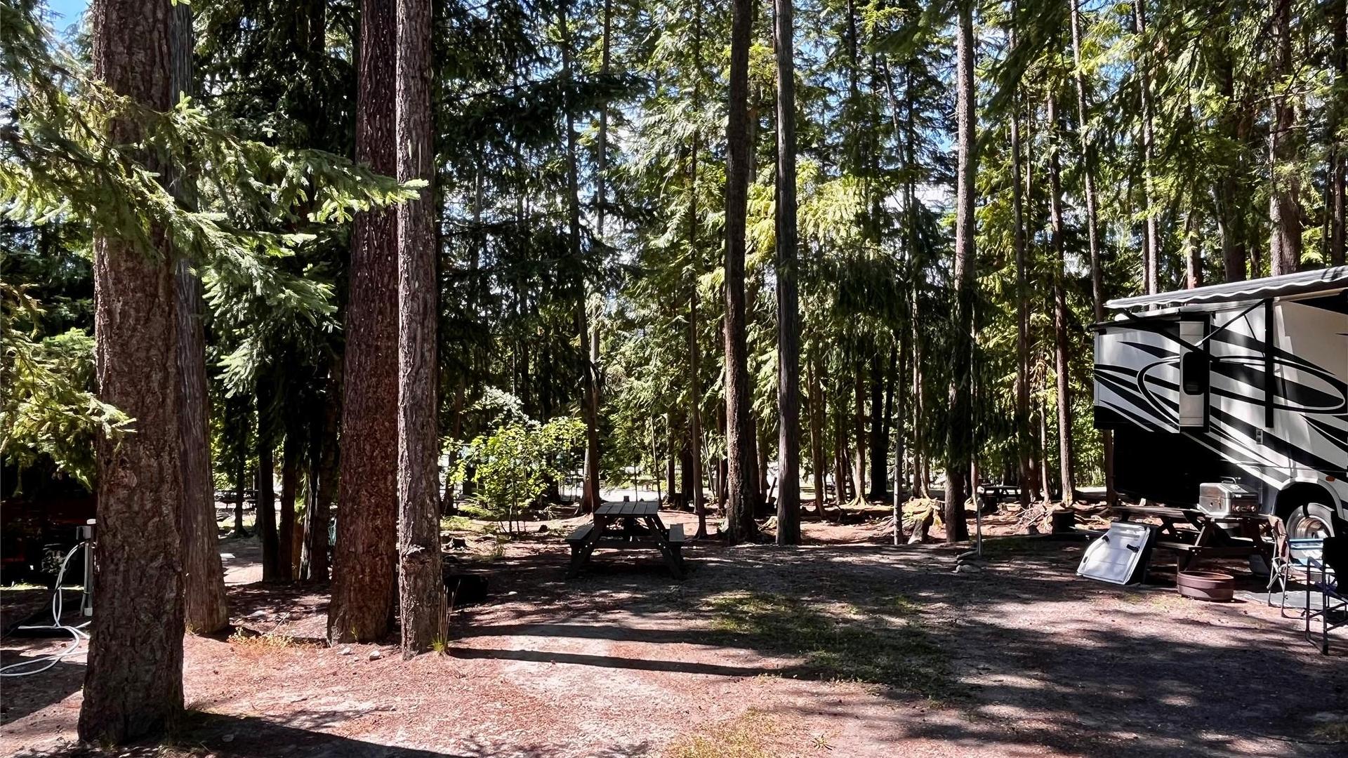 









1701


Highway 23

Highway,
Nakusp,




BC
V0G 1R0


