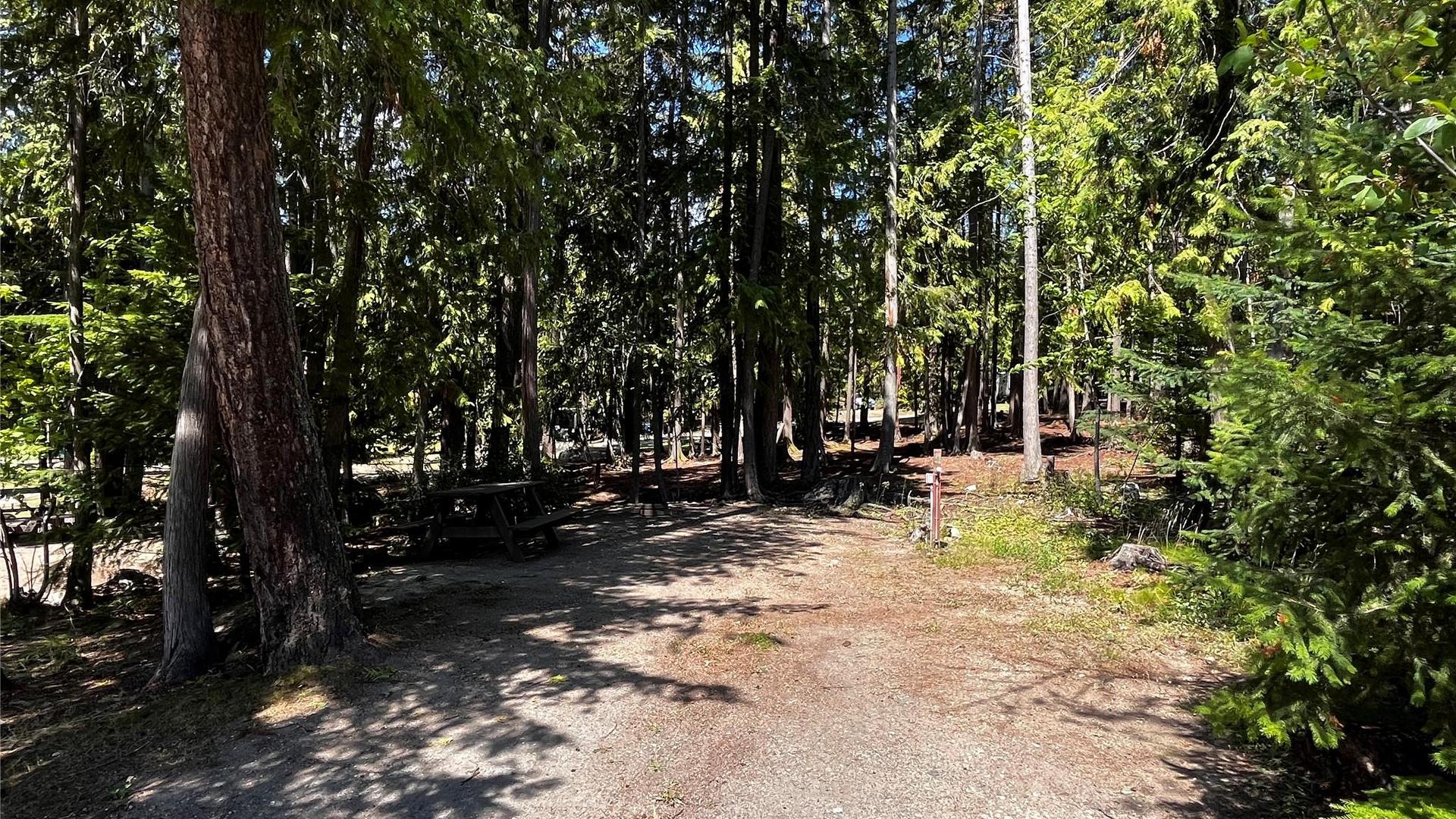 









1701


Highway 23

Highway,
Nakusp,




BC
V0G 1R0

