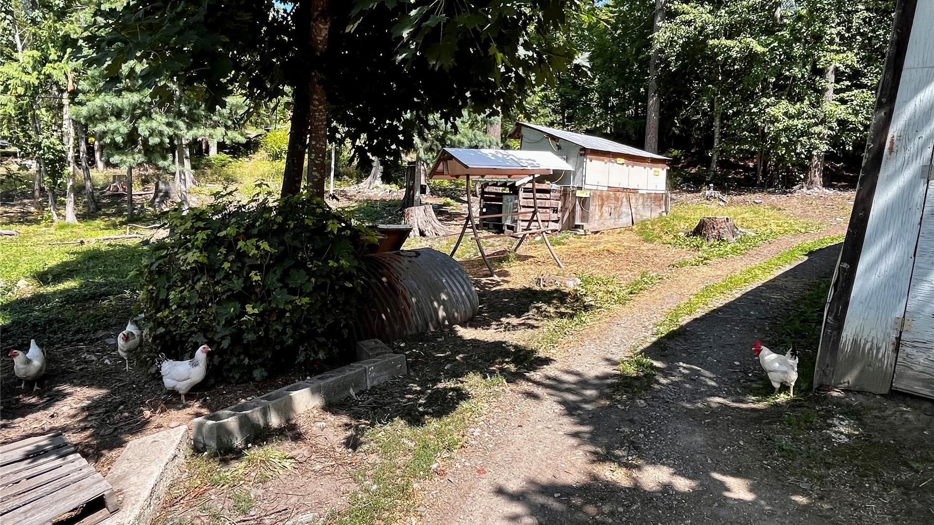 









1701


Highway 23

Highway,
Nakusp,




BC
V0G 1R0

