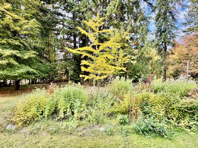 









7812


6

Highway,
Fauquier,




BC
V0G 1K0

