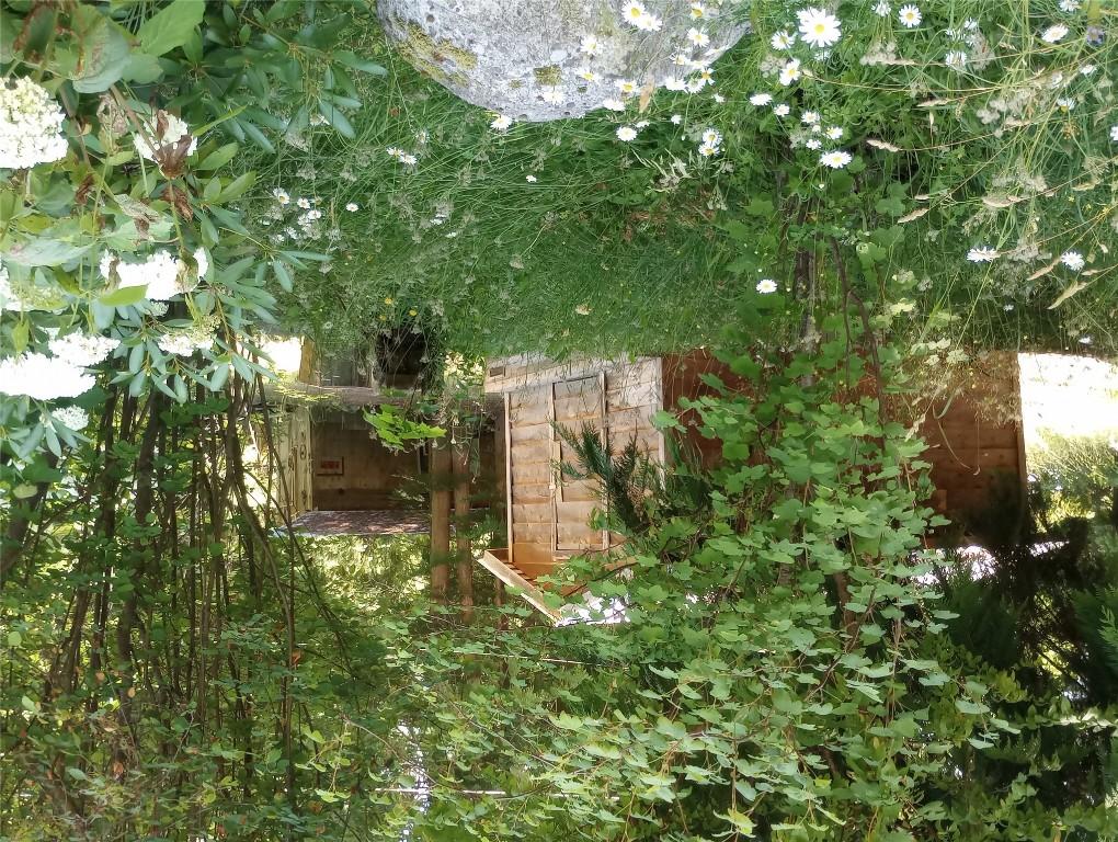 









7812


6

Highway,
Fauquier,




BC
V0G 1K0

