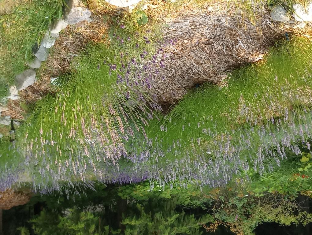 









7812


6

Highway,
Fauquier,




BC
V0G 1K0

