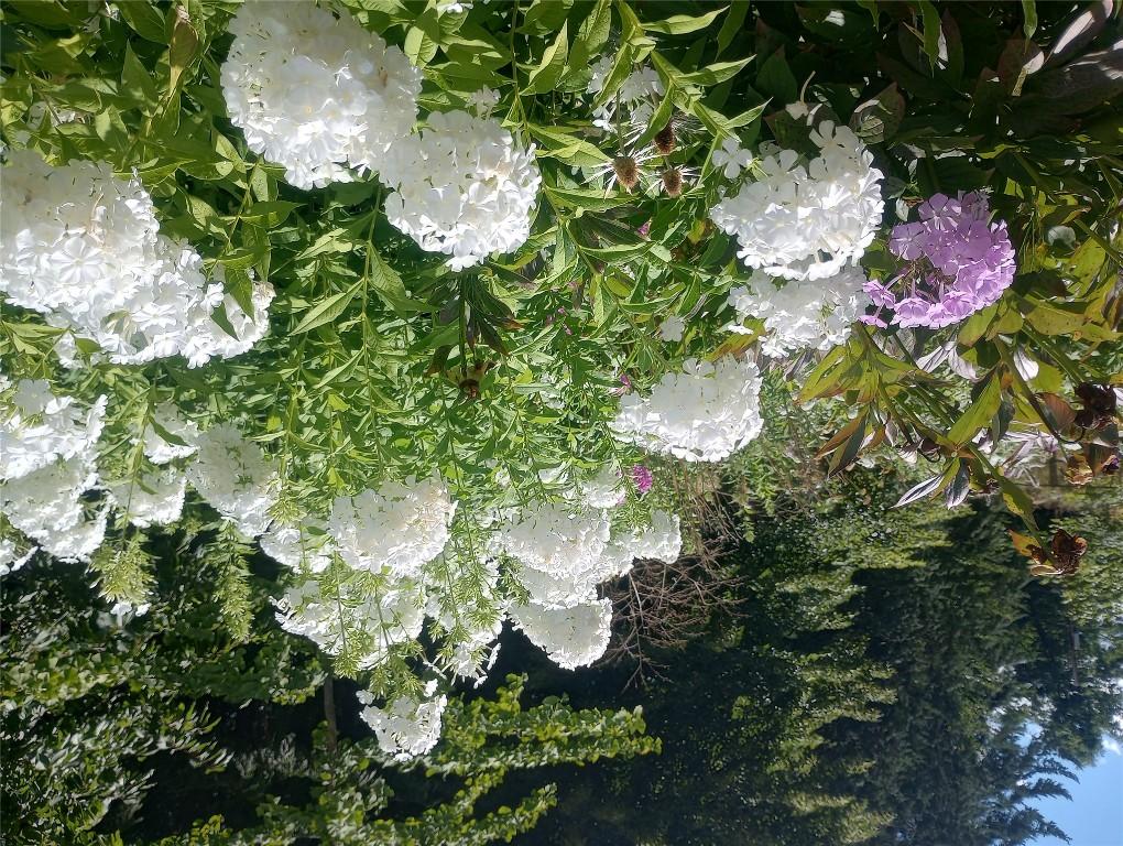 









7812


6

Highway,
Fauquier,




BC
V0G 1K0

