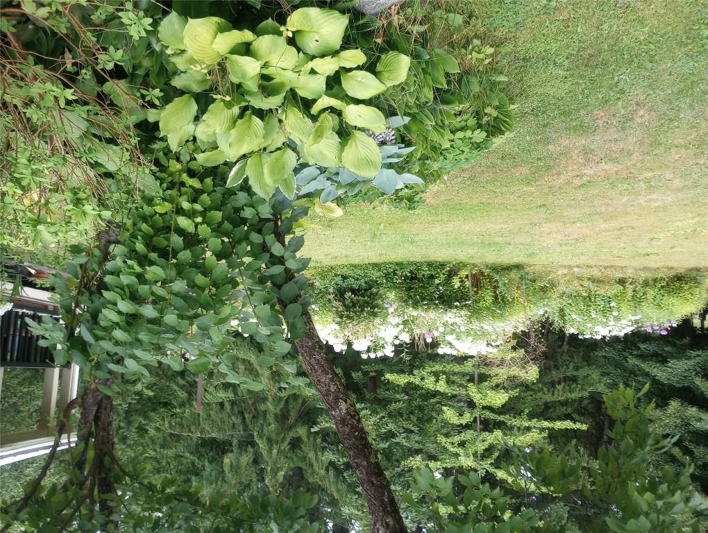 









7812


6

Highway,
Fauquier,




BC
V0G 1K0

