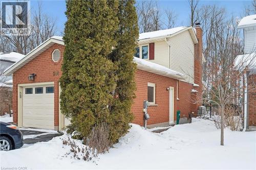 Featured Listing Photo 