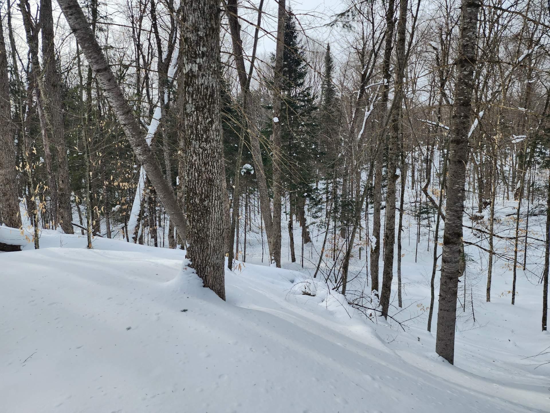 









32


Allée des Pluviers

,
Val-des-Monts,







QC
J8N4C5

