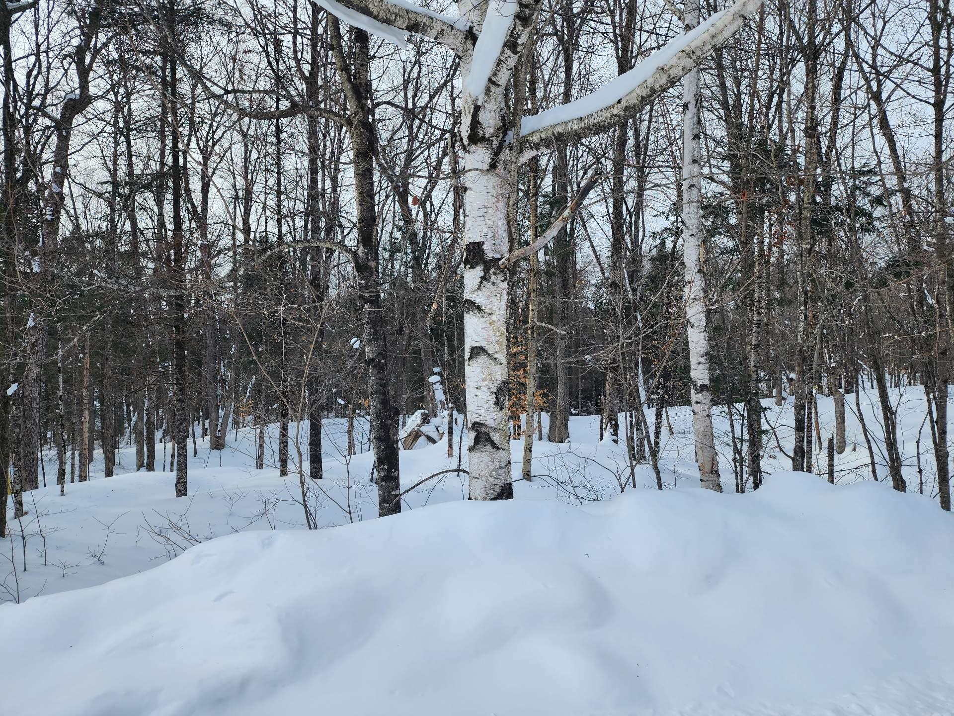 









32


Allée des Pluviers

,
Val-des-Monts,







QC
J8N4C5

