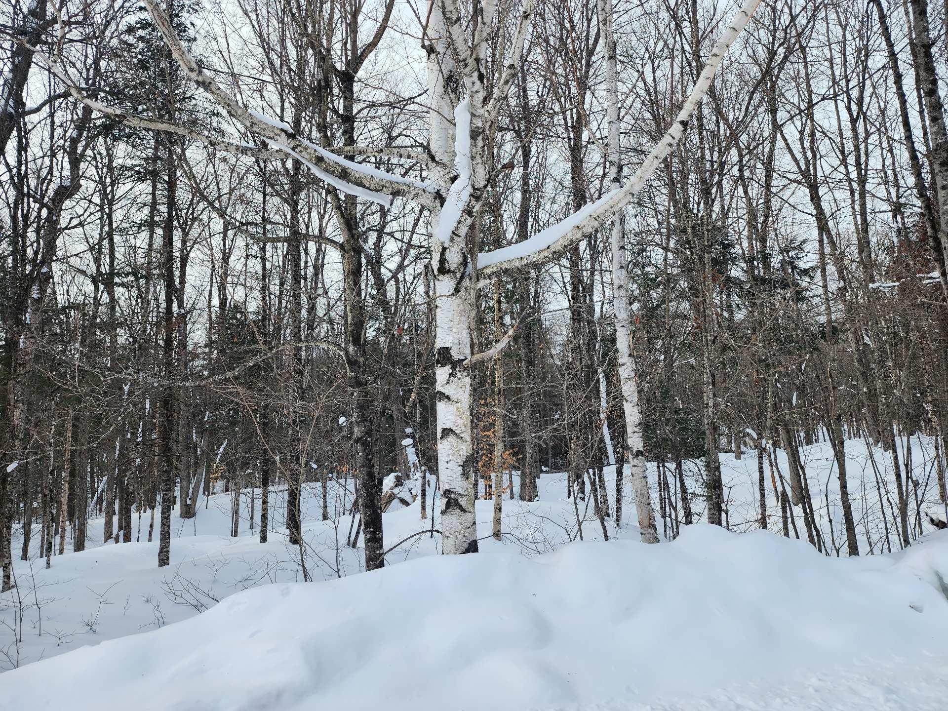 









32


Allée des Pluviers

,
Val-des-Monts,







QC
J8N4C5

