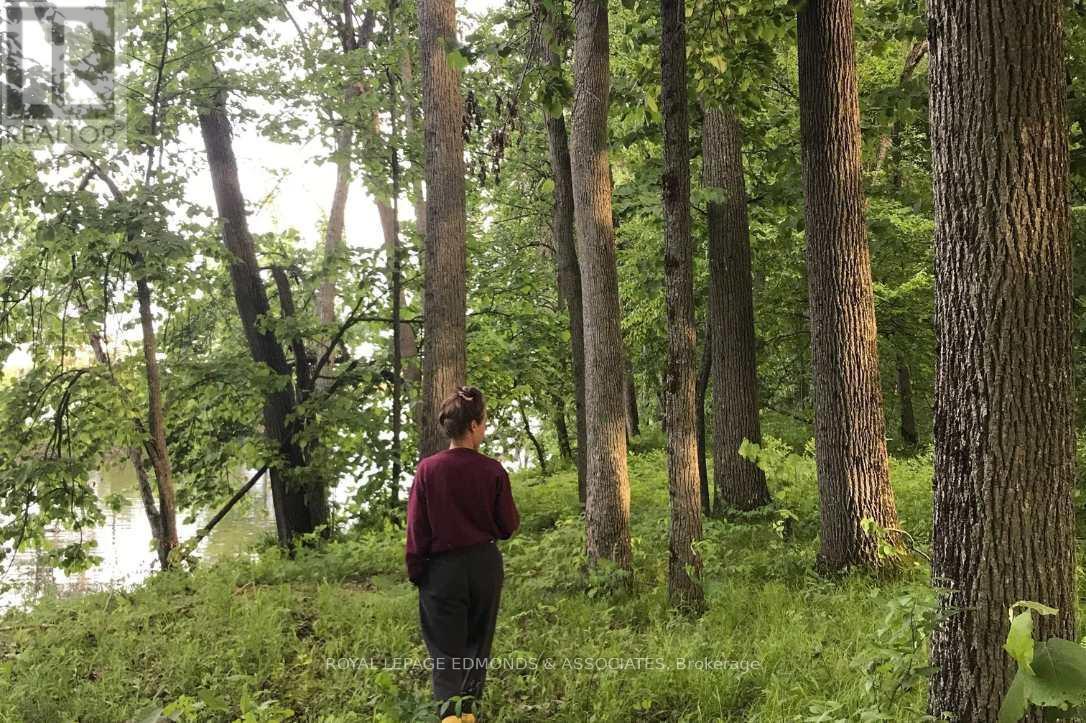 












0 BUTTERNUT ISLAND

,
Whitewater Region,







Ontario
K0J1C0

