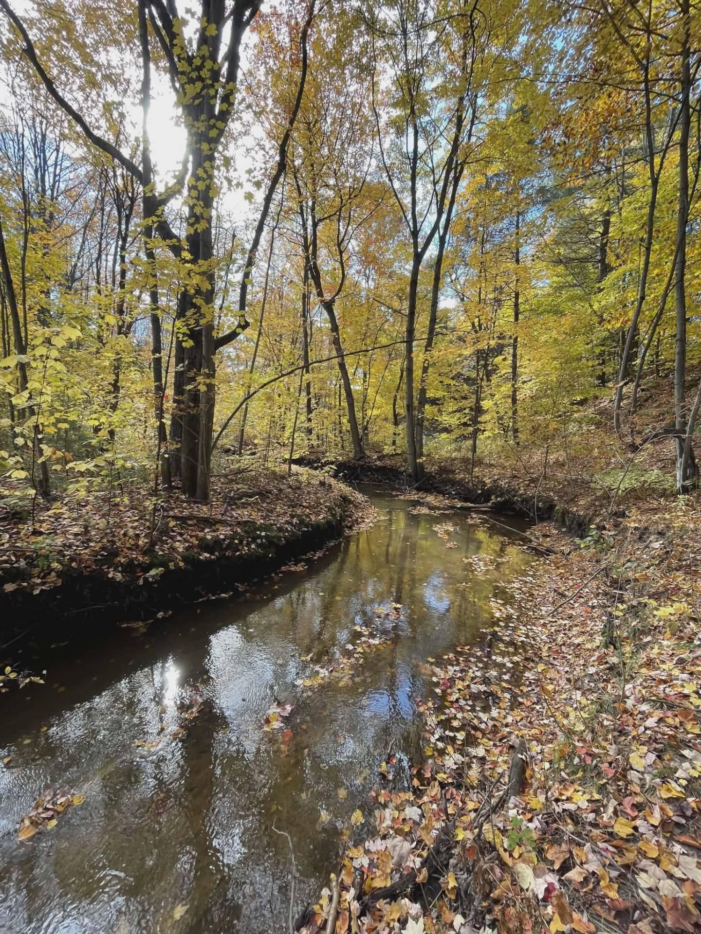 









1000


Ch. des Petites-Terres

,
Trois-Rivières,




QC
G9B7G6

