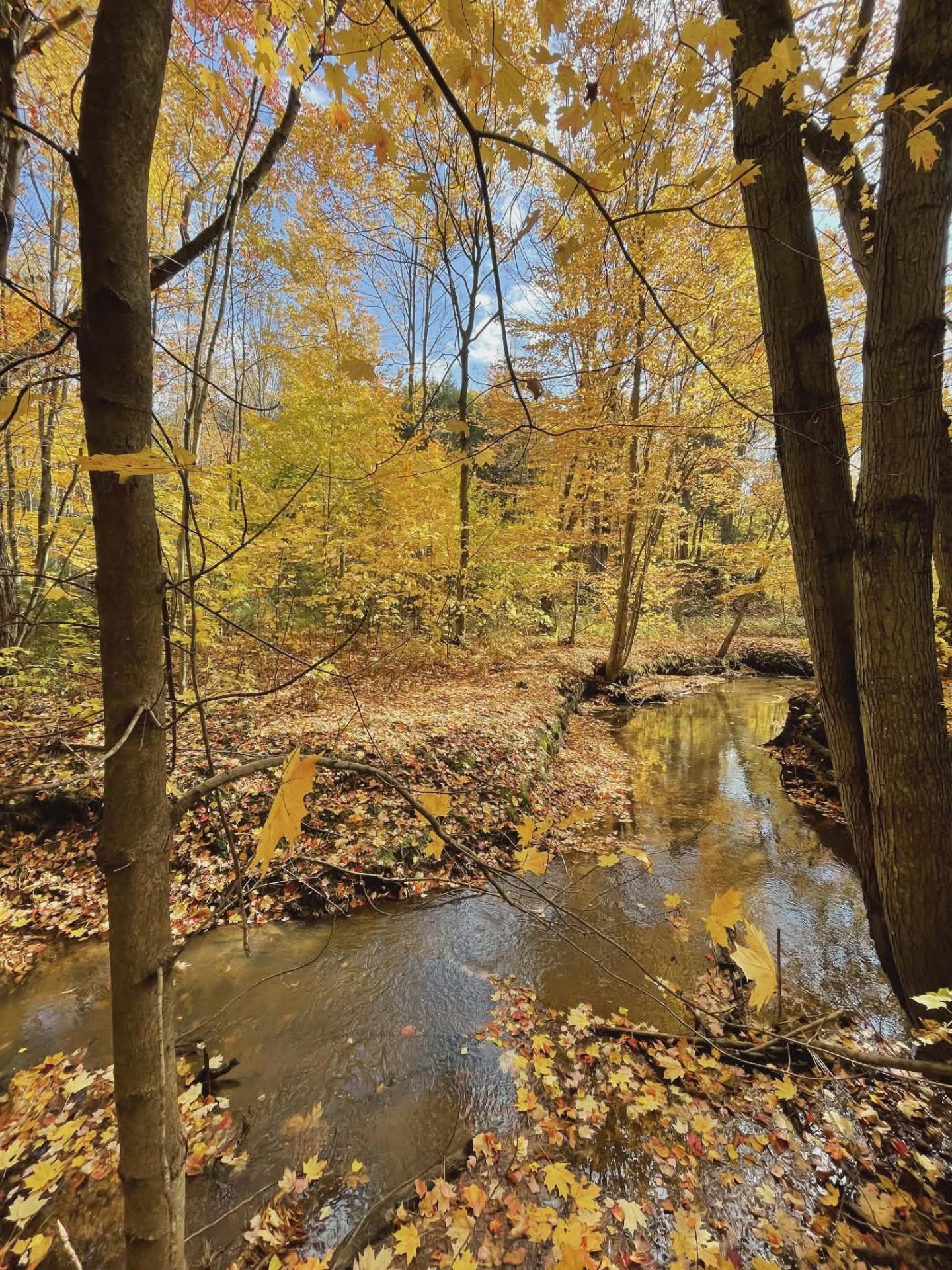 









1000


Ch. des Petites-Terres

,
Trois-Rivières,




QC
G9B7G6

