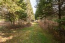 Wooded area