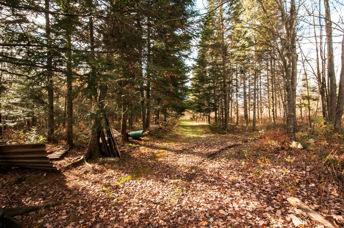 









200


Rg des Cyprès

,
Saint-Sylvère,




QC
G0Z1H0

