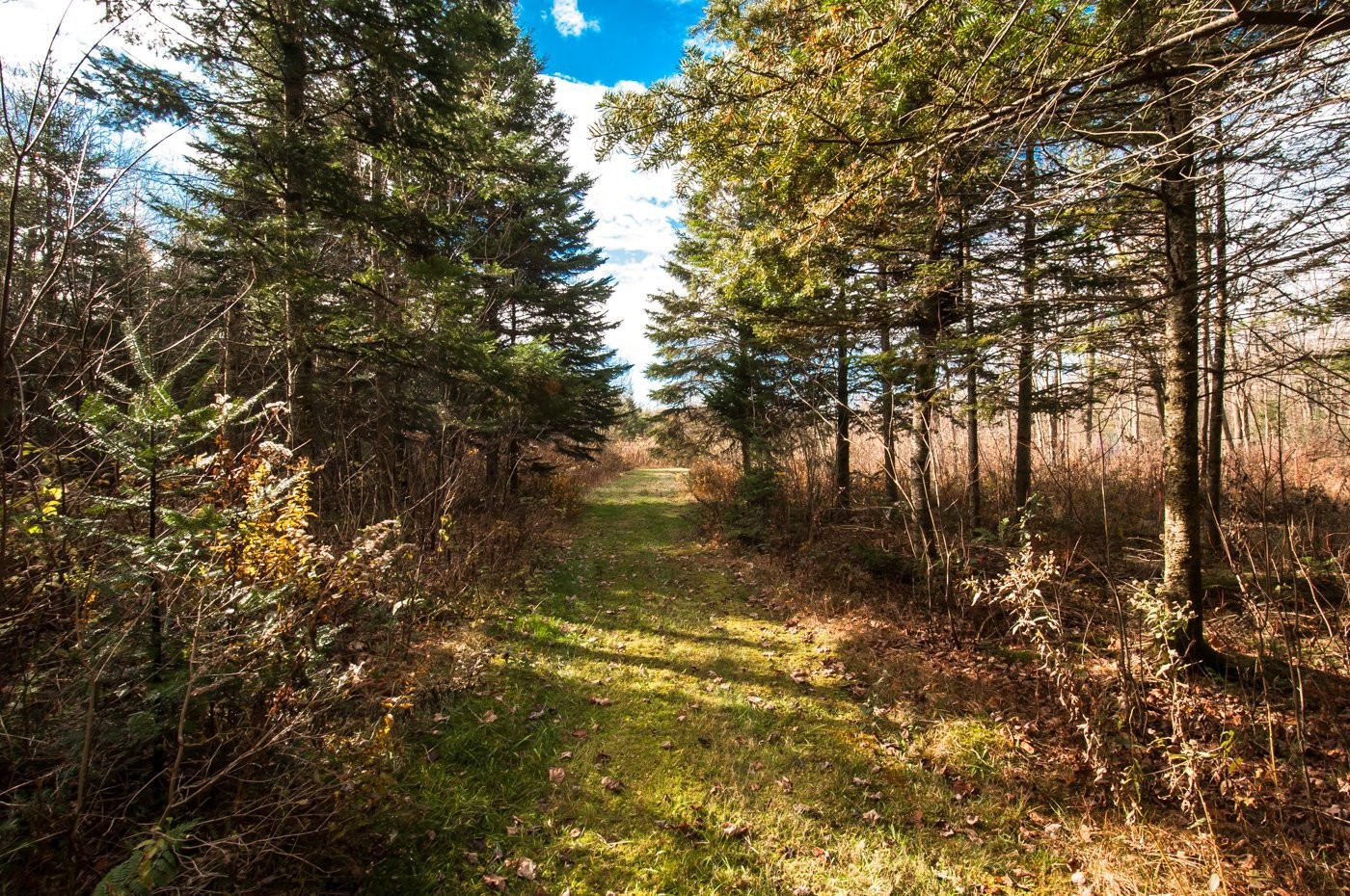 









200


Rg des Cyprès

,
Saint-Sylvère,




QC
G0Z1H0

