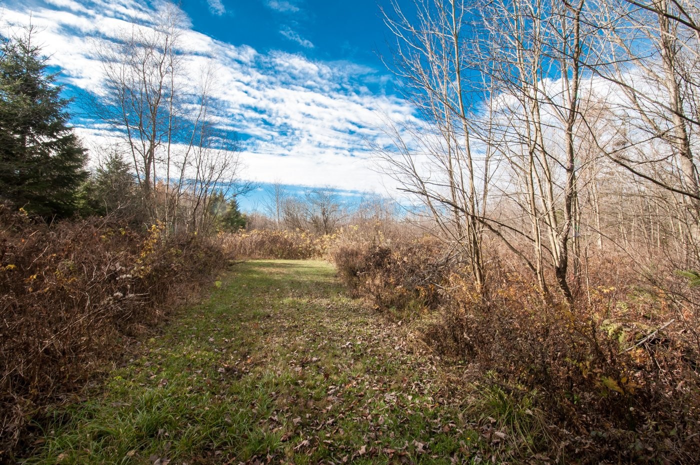 









200


Rg des Cyprès

,
Saint-Sylvère,




QC
G0Z1H0

