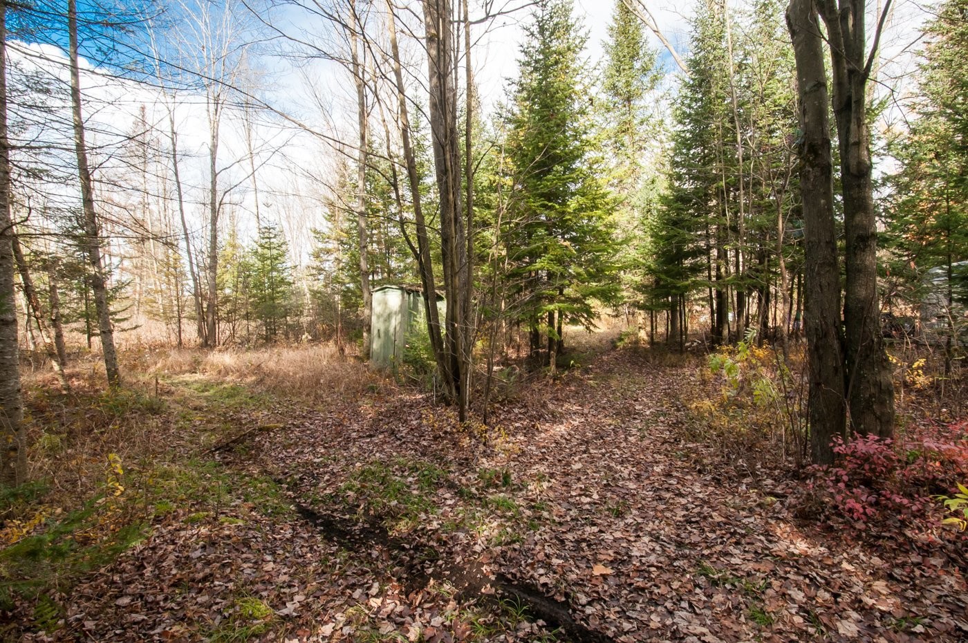 









200


Rg des Cyprès

,
Saint-Sylvère,




QC
G0Z1H0

