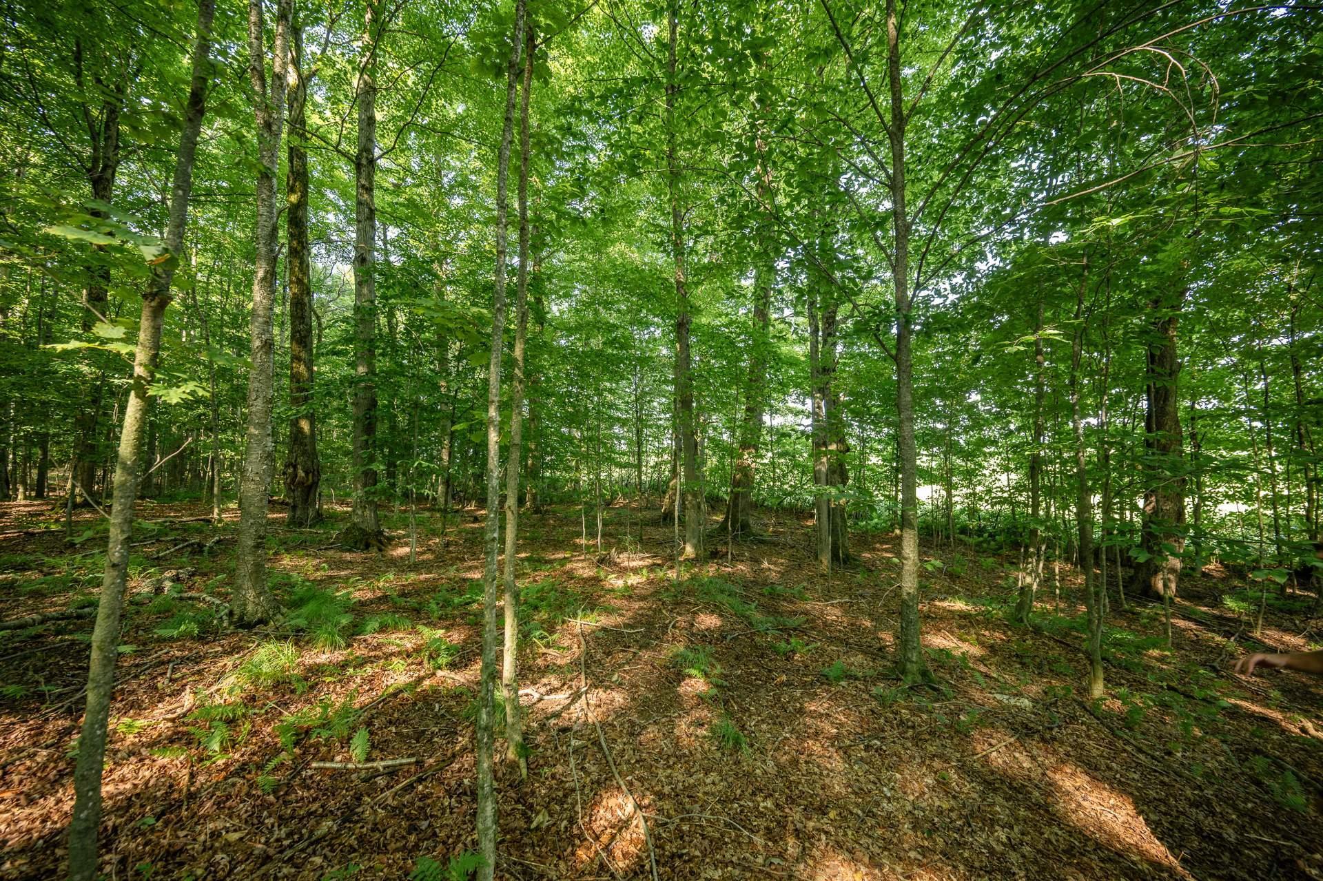 









970Z


Ch. Grainger

,
Melbourne,







QC
J0B2B0

